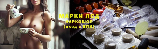 прущие грибы Белокуриха