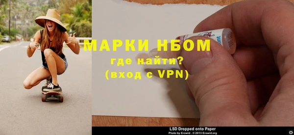 прущие грибы Белокуриха