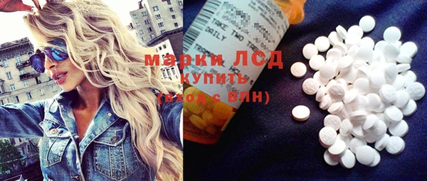 прущие грибы Белокуриха