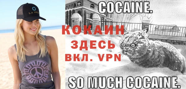 ГАЛЛЮЦИНОГЕННЫЕ ГРИБЫ Беломорск