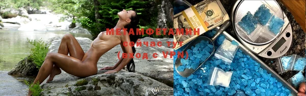 прущие грибы Белокуриха