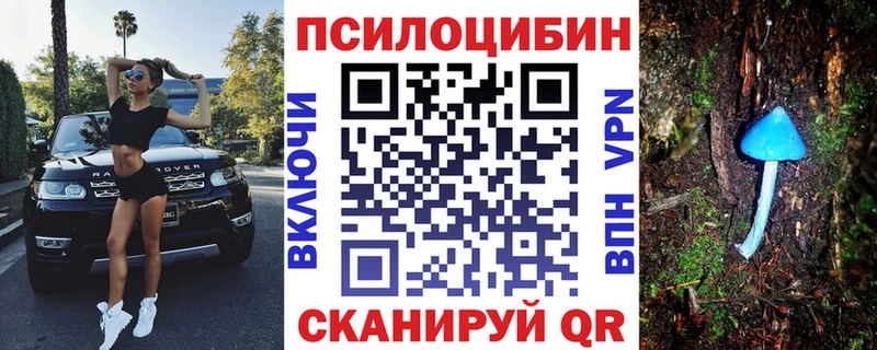 KRAKEN ссылки  Волхов  Псилоцибиновые грибы ЛСД 